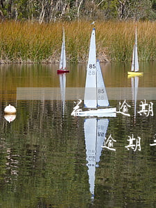 花唄逾期一年多會(huì)怎么樣(兩千花唄逾期半年會(huì)怎么樣)