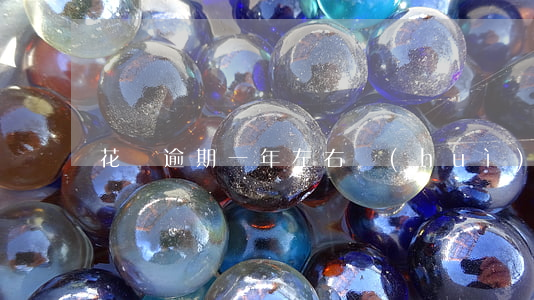花唄逾期一年左右會(huì)有什么影響嗎