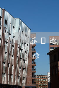 花唄逾期一年怎么消除(花唄逾期一年怎么消除)