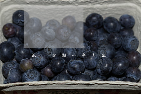 花唄逾期一年 怎么還