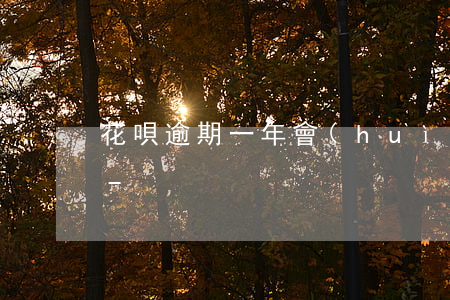 花唄逾期一年會(huì)被列入黑名單么-