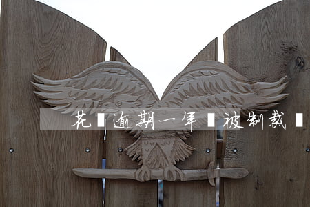 花唄逾期一年會被制裁嗎