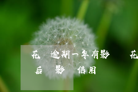 花唄逾期一年有影響嗎(花唄逾期1天還了之后會影響信用嗎)