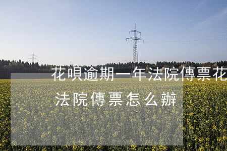 花唄逾期一年法院傳票(花唄到期不還款收到法院傳票怎么辦)