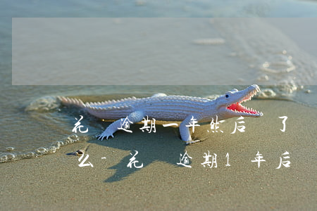 花唄逾期一年然后還了會(huì)上征信么-花唄逾期1年后還清了是不是就沒(méi)事了