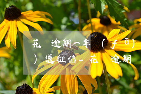 花唄逾期一年發(fā)信息說報(bào)送征信-花唄逾期會(huì)發(fā)短信或者告訴本人上報(bào)征信部門嗎