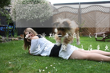 花唄逾期一年自動(dòng)開(kāi)通(花唄逾期以后,多久才能繼續(xù)正常使用)