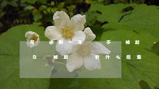 花唄逾期一年還會不會被起訴-花唄逾期多久會被起訴會有什么后果