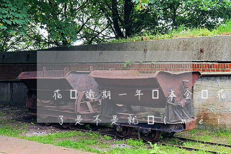 花唄逾期一年還本金嗎 花唄逾期1年后還清了是不是就沒(méi)事了