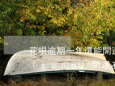 花唄逾期一年還能開通(花唄逾期1年還了關(guān)閉還有機(jī)會開通使用嗎)