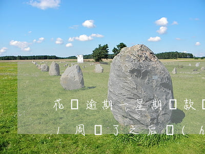 花唄逾期一星期還款還可以用嗎-花唄逾期1周還了之后會(huì)影響信用嗎