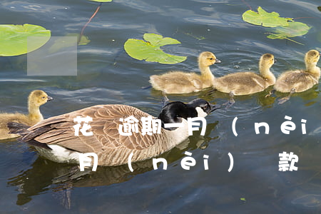 花唄逾期一月內(nèi)還款(花唄逾期一月內(nèi)還款)