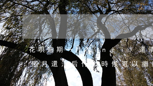 花唄逾期一月內(nèi)還清(花唄逾期1個月還清后什么時候可以繼續(xù)使用)