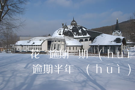 花唄逾期一期會(huì)怎么樣(兩千花唄逾期半年會(huì)怎么樣)