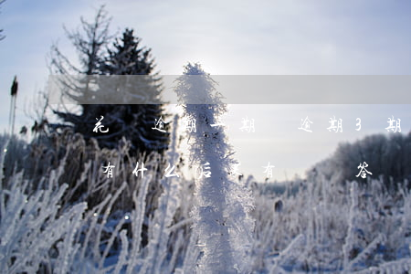 花唄逾期一期與逾期3期(花唄逾期三個月會有什么后果?,有獎問答)