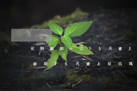 花唄逾期一次15天會上失信名單嗎-花唄逾期15天會上征信嗎?