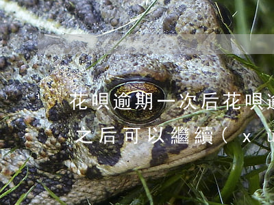 花唄逾期一次后(花唄逾期1次還了之后還了之后可以繼續(xù)使用嗎)