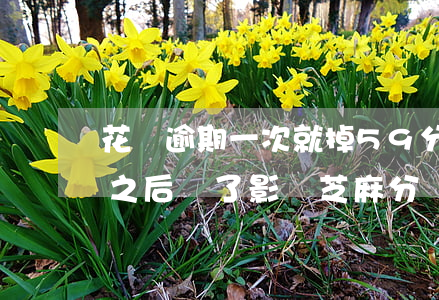 花唄逾期一次就掉59分(花唄逾期1天還了之后還了影響芝麻分)