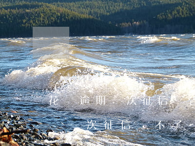 花唄逾期一次征信報告能看到嗎-花唄逾期過幾次,征信過不了該怎么辦呀?