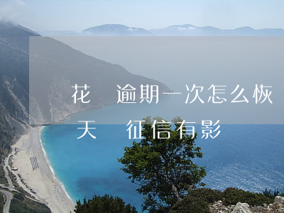 花唄逾期一次怎么恢復(花唄不小心逾期了幾天,對征信有影響嗎)