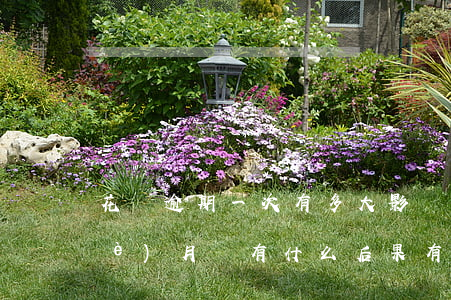 花唄逾期一次有多大影響(花唄逾期兩個(gè)月會有什么后果?,有獎(jiǎng)問答)