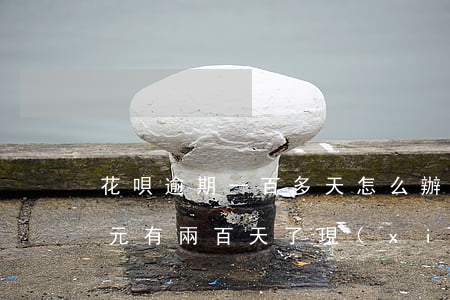 花唄逾期一百多天怎么辦(花唄逾期5000元有兩百天了現(xiàn)在要還多少)