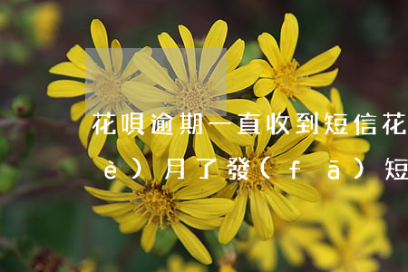 花唄逾期一直收到短信(花唄逾期好幾個(gè)月了發(fā)短信說(shuō)要起訴是真的嗎)
