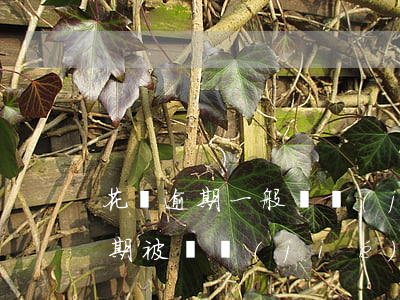 花唄逾期一般凍結(jié)幾天(花唄有逾期被凍結(jié),大概什么時(shí)候可以解除)