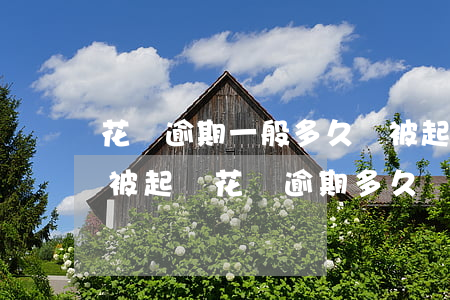 花唄逾期一般多久會被起訴(花唄逾期多久會被起訴?花唄逾期多久會打電話)