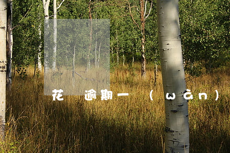 花唄逾期一萬(wàn)是真的嗎