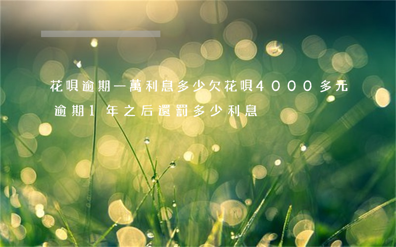 花唄逾期一萬利息多少(欠花唄4000多元逾期1年之后還,罰多少利息)