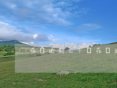 花唄逾期七千塊（花唄逾期七千塊）