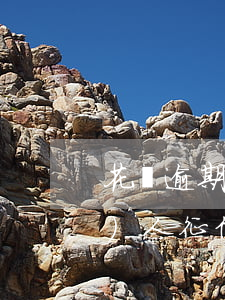花唄逾期七天內(nèi)還款對個(gè)人征信有影響嗎-逾期多久會(huì)被列入失信人名單