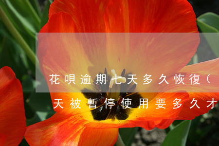 花唄逾期七天多久恢復(fù)(花唄逾期7天被暫停使用要多久才能恢復(fù))