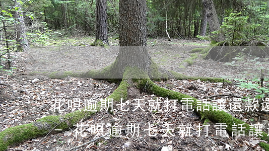花唄逾期七天就打電話讓還款還不上怎么辦-花唄逾期七天就打電話讓還款還不上怎么辦呢