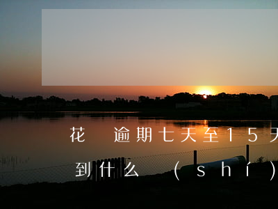 花唄逾期七天至15天(花唄逾期16天要等到什么時(shí)候才可以繼續(xù)用)