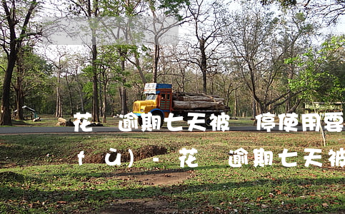 花唄逾期七天被暫停使用要多久才能恢復(fù)-花唄逾期七天被暫停使用要多久才能恢復(fù)正常