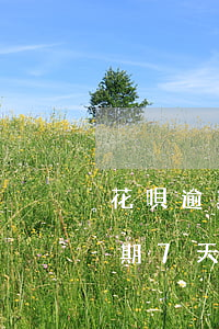 花唄逾期七天還款會影響信譽分嗎-花唄逾期7天內(nèi)還款對個人征信有影響嗎