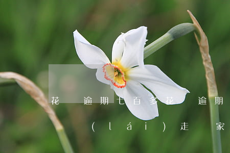 花唄逾期七百多(花唄逾期七百多天還打電話過來(lái)走訪家里面是真的嗎)