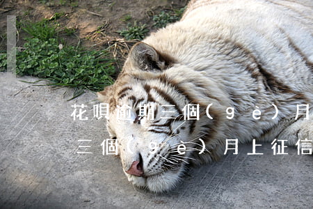 花唄逾期三個(gè)月上征信了(花唄逾期三個(gè)月上征信了)