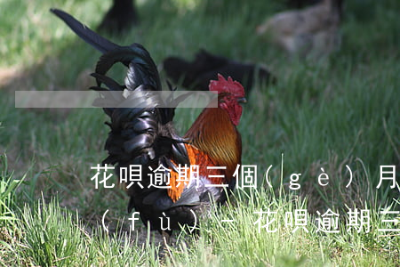 花唄逾期三個(gè)月不能用了怎么恢復(fù)-花唄逾期三個(gè)月不能用了怎么恢復(fù)使用