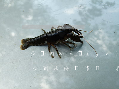 花唄逾期三個(gè)月不還會(huì)收到法院傳票嗎-花唄逾期三個(gè)月不還會(huì)收到法院傳票嗎