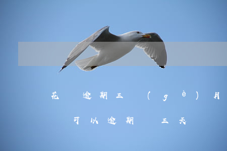 花唄逾期三個(gè)月了怎么辦(支付寶花唄可以逾期兩三天嗎)