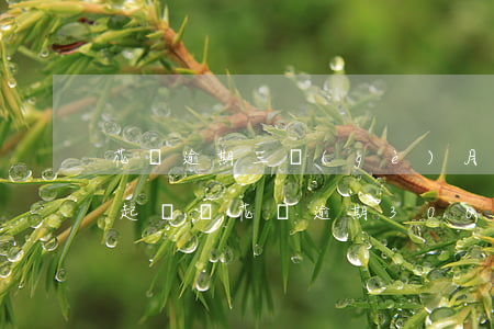花唄逾期三個(gè)月五千會(huì)起訴嗎 花唄逾期3000塊錢(qián)逾期六個(gè)月會(huì)被起訴嗎