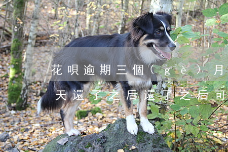 花唄逾期三個(gè)月再還款(花唄逾期3天還了之后還了之后可以繼續(xù)使用嗎)