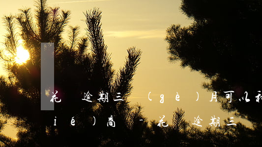 花唄逾期三個(gè)月可以和客服協(xié)商嗎-花唄逾期三個(gè)月可以和客服協(xié)商嗎
