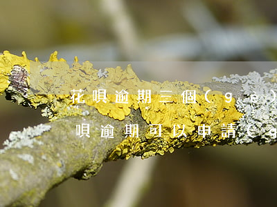 花唄逾期三個(gè)月可以辦信用卡嗎(花唄逾期可以申請(qǐng)哪個(gè)信用卡)