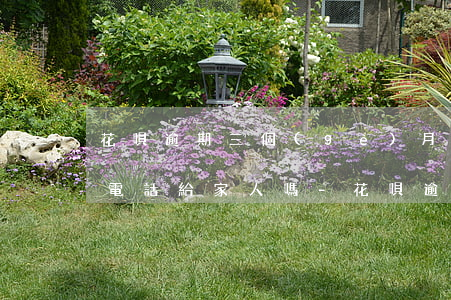 花唄逾期三個(gè)月后會(huì)打電話給家人嗎?-花唄逾期三個(gè)月后會(huì)打電話給家人嗎