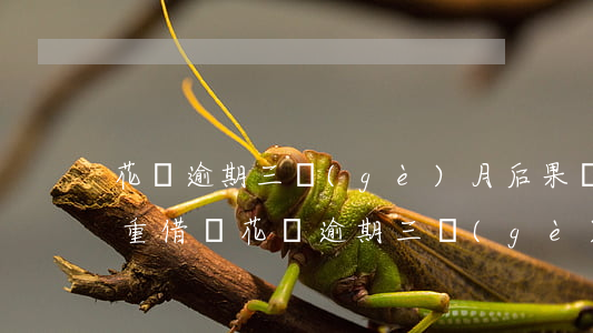 花唄逾期三個(gè)月后果嚴(yán)重(借唄花唄逾期三個(gè)月會(huì)被起訴嗎怎么辦)