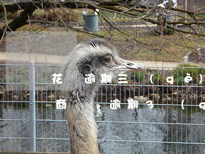 花唄逾期三個(gè)月怎么協(xié)商(還唄逾期3個(gè)月可以協(xié)商一定期限內(nèi)還款嗎?)